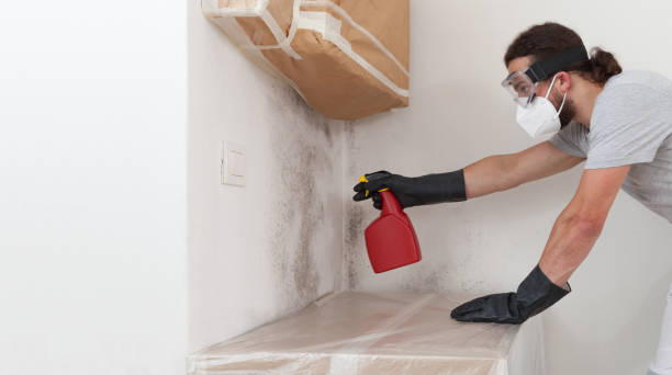 Professional Mold Cleanup technician working in New Hill, NC