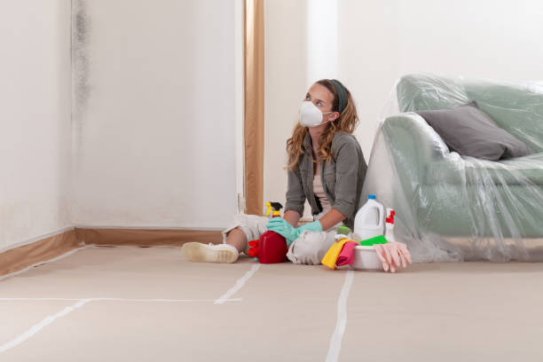 Reliable Mold Cleanup contractor in New Hill, NC by Cheap Mold Removal